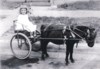 Elizabeth P. White photos