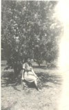 Gramma Seria pregnant with Gramma Mary sitting under the Apricot Tree.